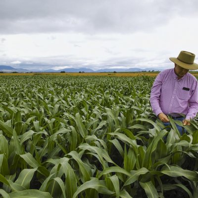 Agricultural research ... one of the areas where UQ excelled in ERA